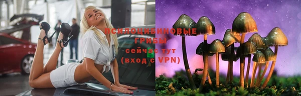 крисы Карпинск