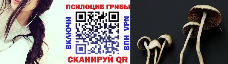Галлюциногенные грибы ЛСД  Купить  Крымск 